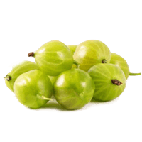 Gooseberry