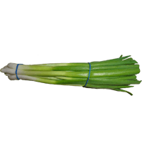 Scallion