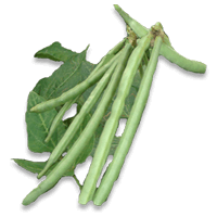 Cowpea (Black-eyed pea)