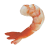 Shrimp